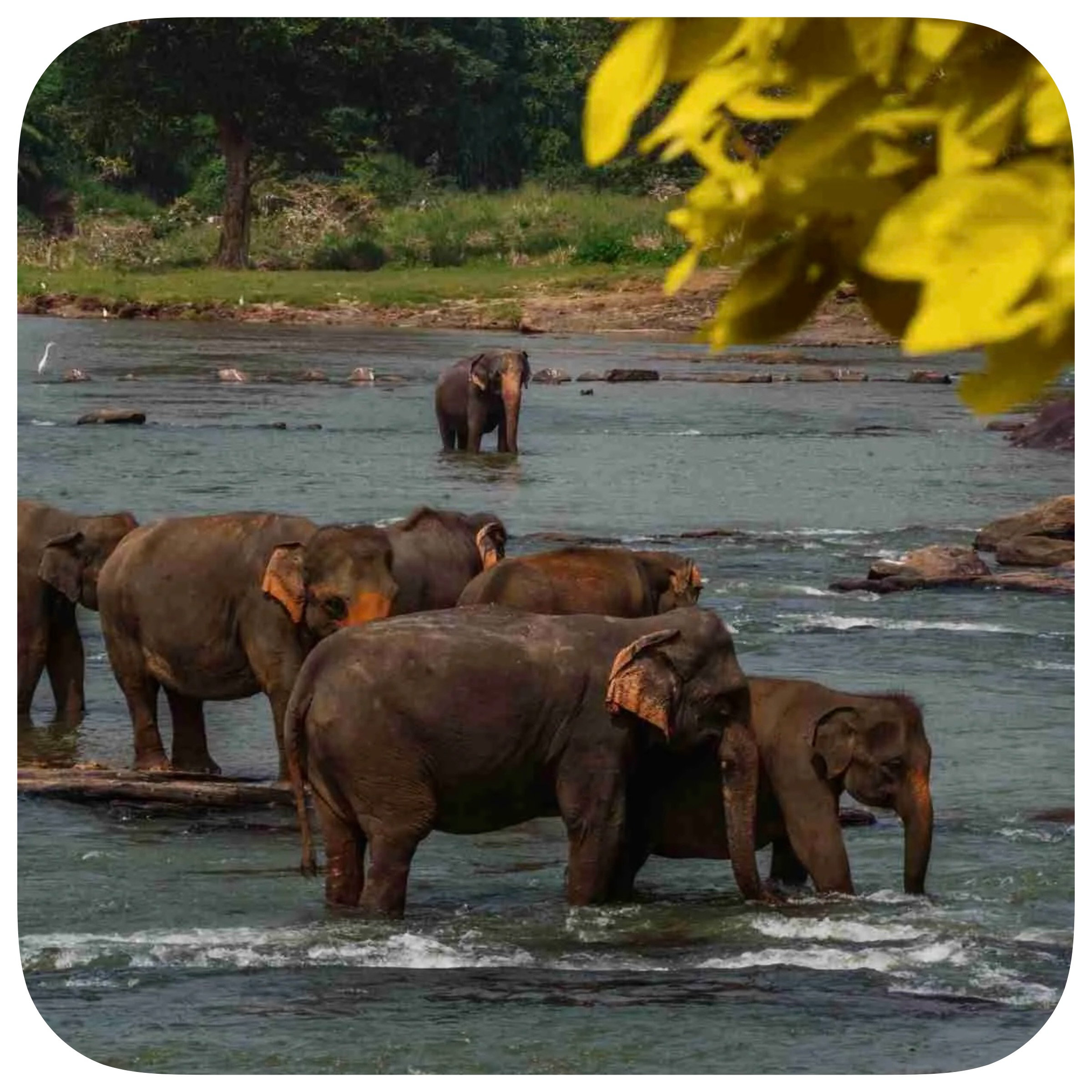 SRI LANKA